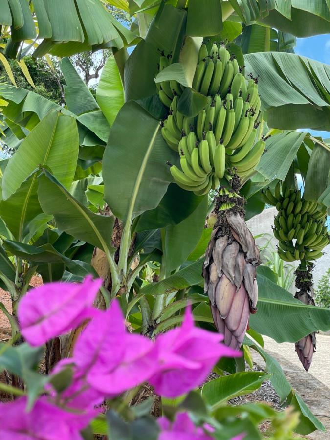 La Trouvaille Anse a La Mouche Exterior foto
