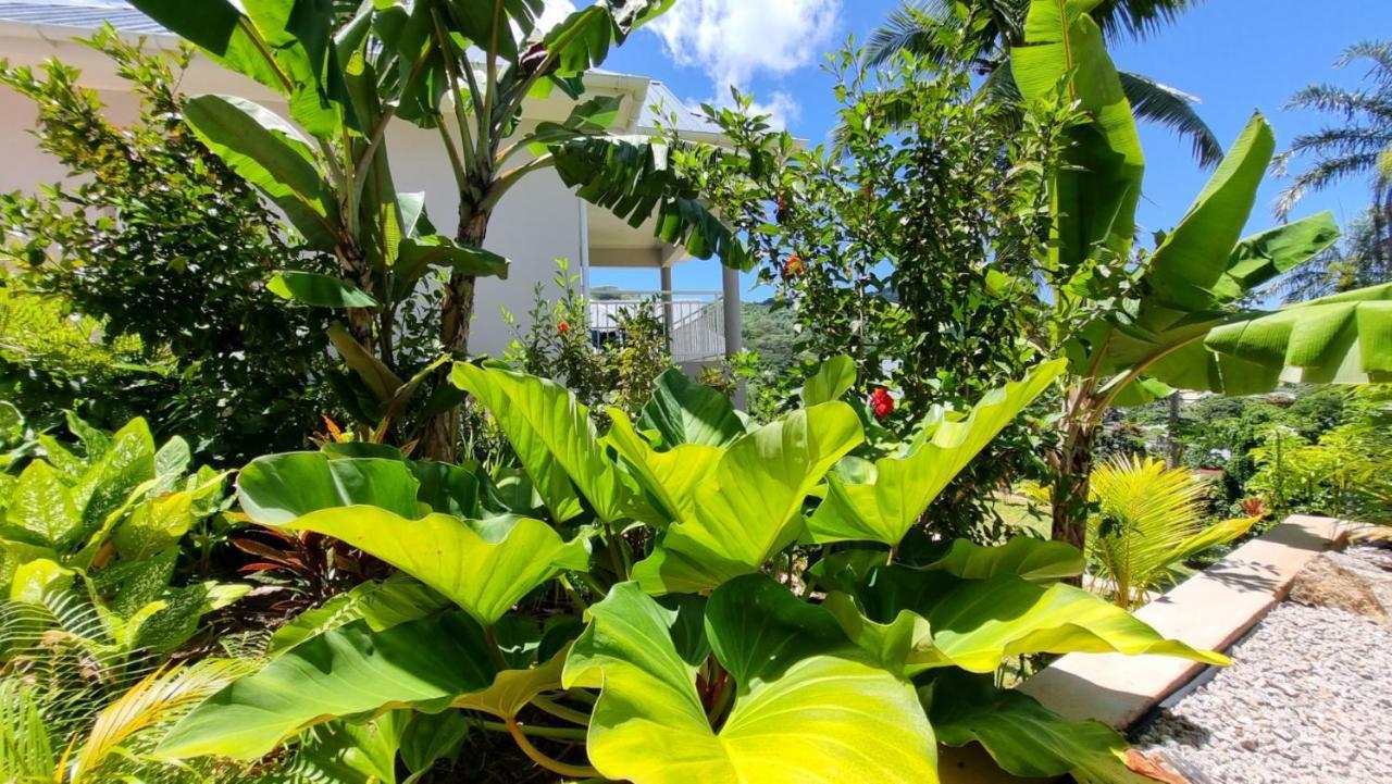 La Trouvaille Anse a La Mouche Exterior foto